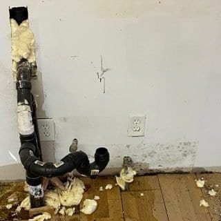Before: mold growth in a Colorado home